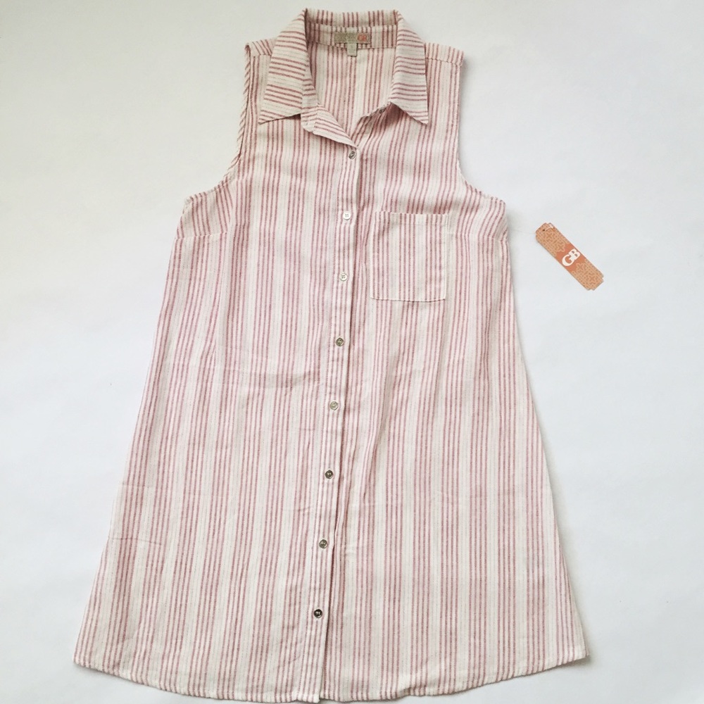 Gianni Bini Stripe Dress